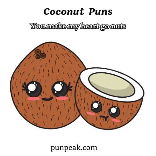 Coconut Pun