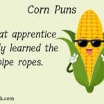 61 Corn Puns and Jokes That Will A-Maize Your Ears