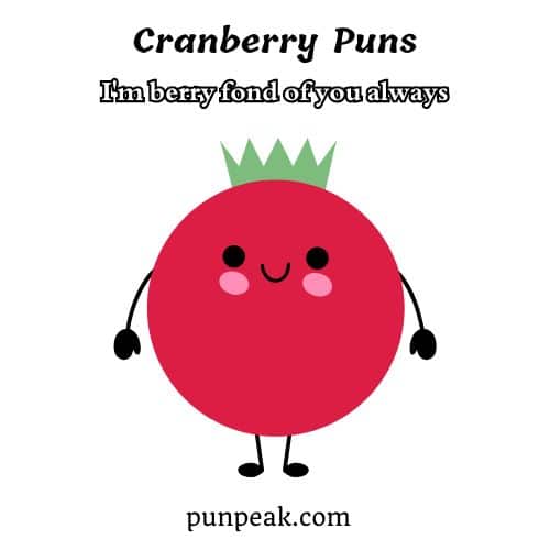 Cranberry Puns