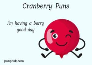 102+ Cranberry Puns That Are Ripe For The Picking