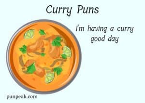 119 Funny Curry Puns And Jokes That Are Second To Naan