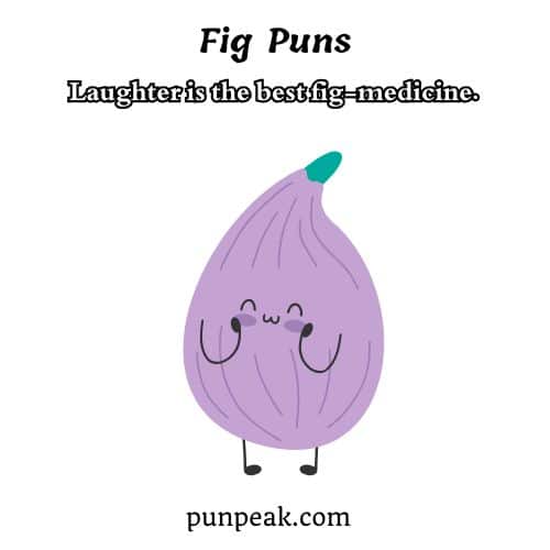 Fig Pun