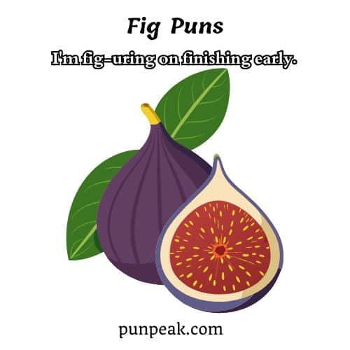 Fig Pun