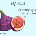 88 Fig Puns And Jokes That Are Figgin' Awesome