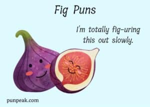 88 Fig Puns And Jokes That Are Figgin' Awesome