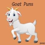 47 Goat Puns And Jokes That Are Billy Funny