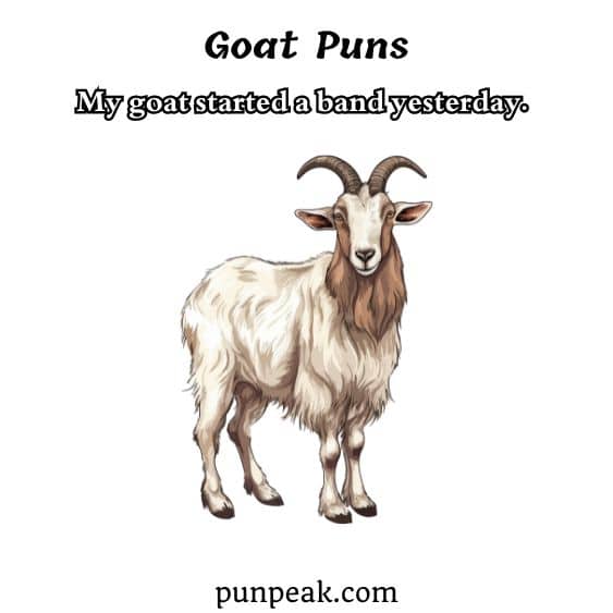 Goat Puns