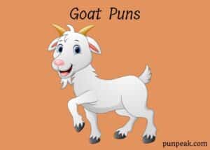 47 Goat Puns And Jokes That Are Billy Funny