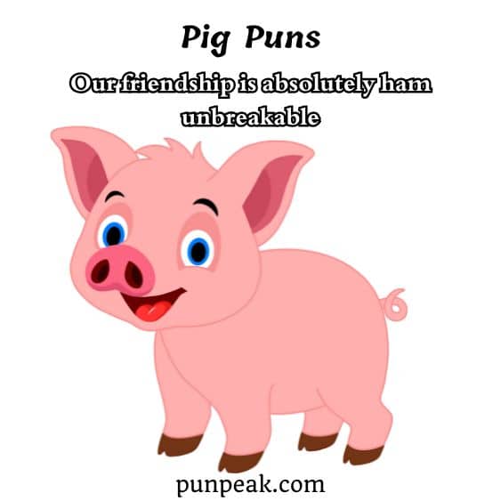 Pig Puns