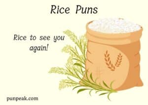 121+ Best Rice Puns And Jokes To Make Your Day Grain-tastic