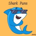 Shark Puns