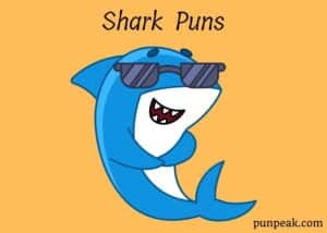 Shark Puns