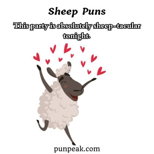 Sheep Pun