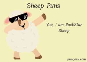 55 Sheep Puns And Jokes That'll Get You Pasture Problems