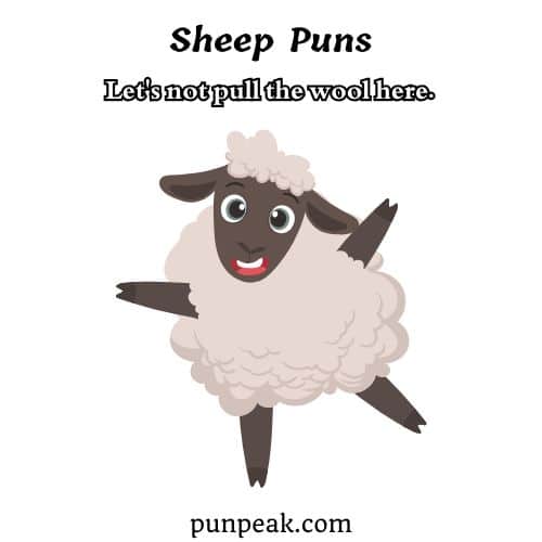 Sheep Puns