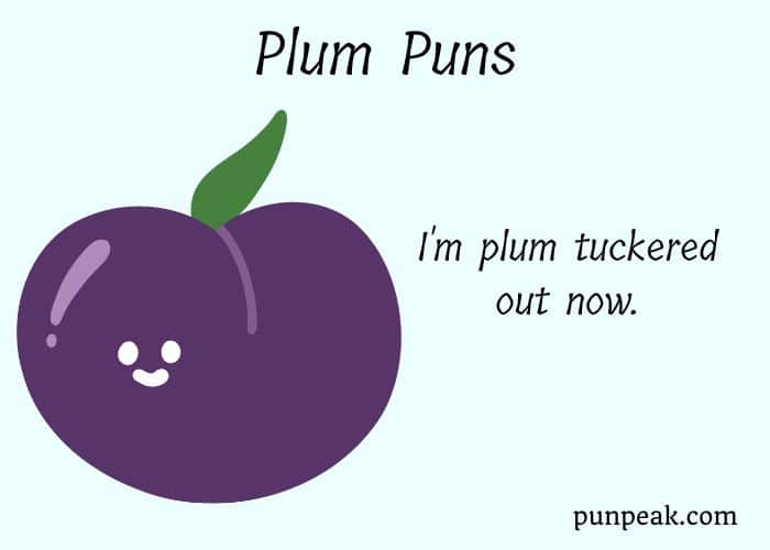 101+ Juicy Plum Puns And Jokes That Are Plum-azing