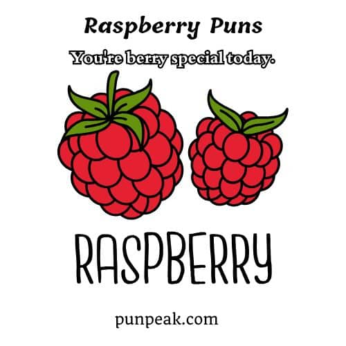 Raspberry Puns