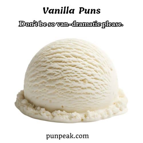 Vanilla Puns