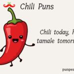 199+ Funny Chili Puns And Jokes That Are Red-Hot And Hilarious