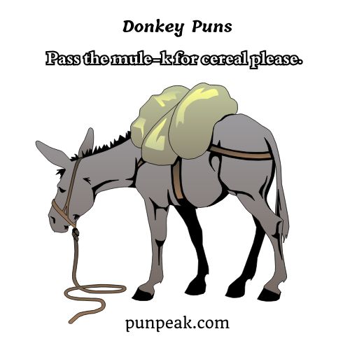 Donkey Puns