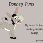 254+ Donkey Puns And Jokes To Make You Bray With Laughter