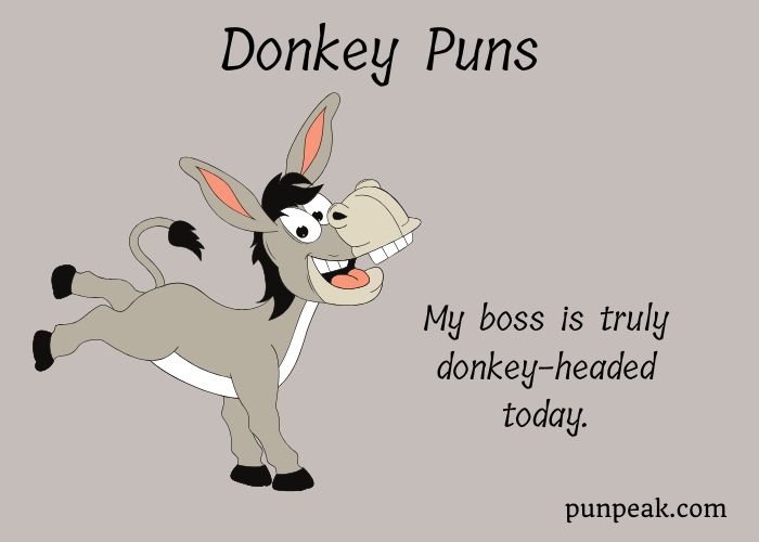 254+ Donkey Puns And Jokes To Make You Bray With Laughter