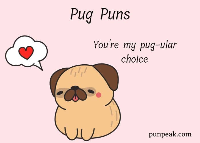 177+ Pug Puns And Jokes That Will Make You Snort With Laughter