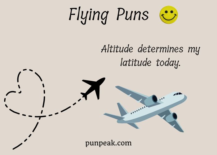 101+ Flying Puns And Jokes That Will Take Your Humor To New Heights