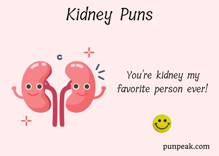 161+ Kidney Puns And Jokes That'll Have You Laughing All The Way To The Renal Ward