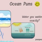 254 Best Ocean Puns And Jokes To Dive Right In