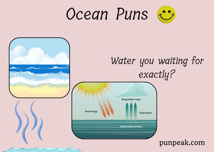 254 Best Ocean Puns And Jokes To Dive Right In