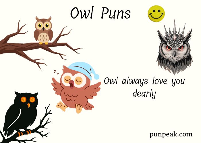 237 Owl Puns And Jokes: One-Liners For Kids, Birthdays & Instagram