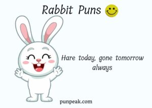 303 Rabbit Puns And Jokes: Short, Funny, Cute One Liners For Captions & Instagram