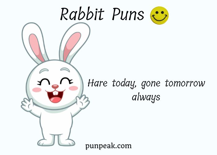 303 Rabbit Puns And Jokes: Short, Funny, Cute One Liners For Captions & Instagram