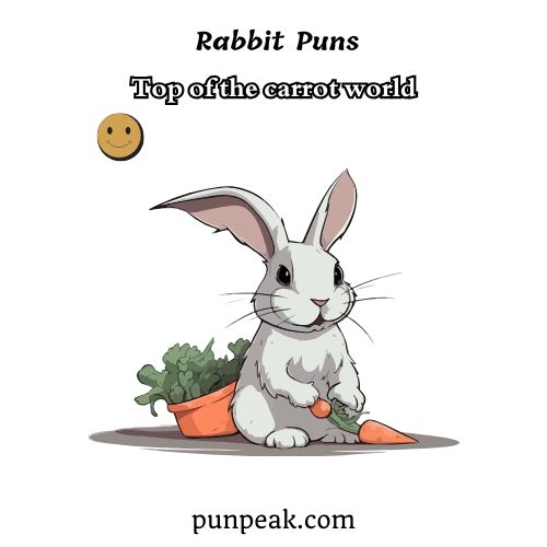 Rabbit Puns
