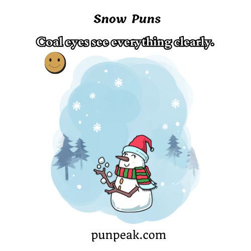 Snow Puns