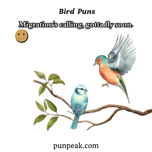Bird Puns