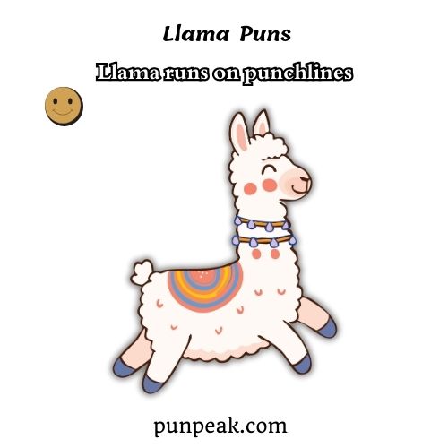 Llama Puns