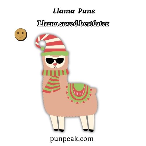 Llama Puns