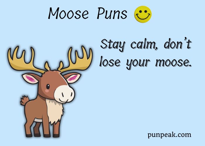 153+ Moose Puns And Jokes That Will Have You Hoofing With Laughter