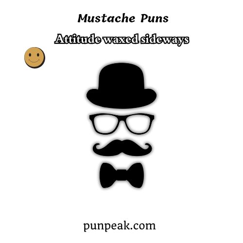 Mustache Puns