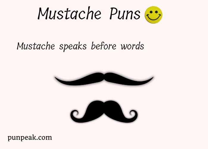 Mustache Puns