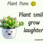 154+ Plant Puns And Jokes That Will Leaf You Laughing Out Loud