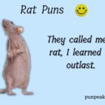 155+ Rat Puns And Jokes That Will Make You Squeak With Laughter