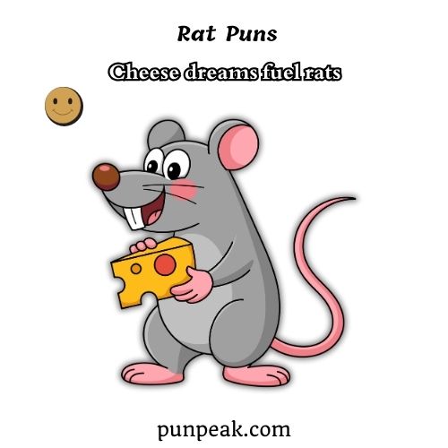 Rat Puns