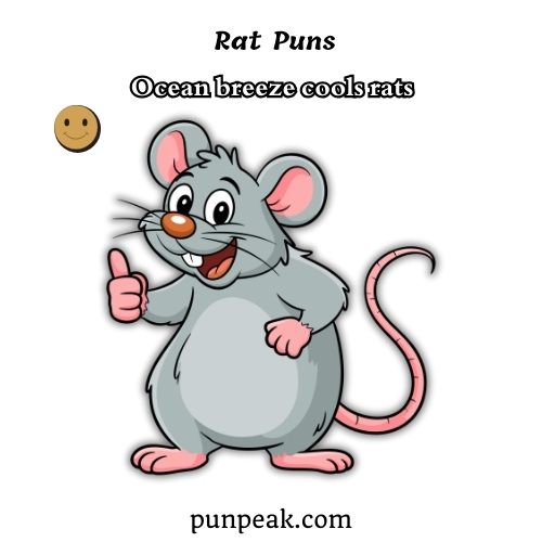 Rat Puns