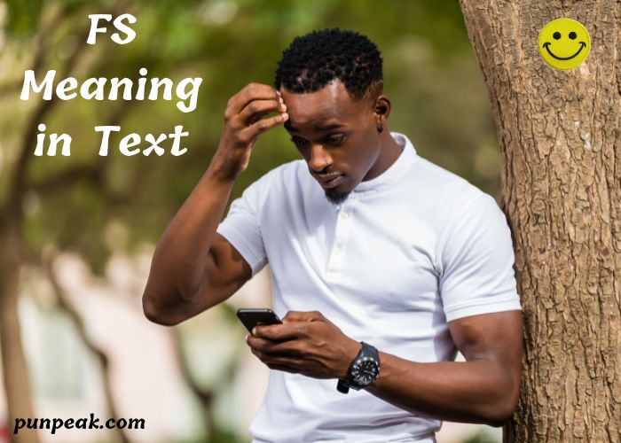 FS Meaning in Text