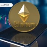 Gocryptobet.com Wallet: A Practical Guide For Users Exploring Crypto Payments (Complete Guide 2026)