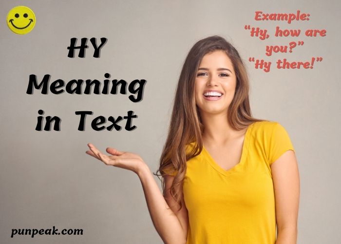 HY Meaning in Text