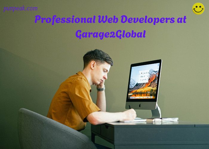 Professional Web Developers at Garage2Global